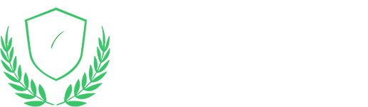 BVIS School
